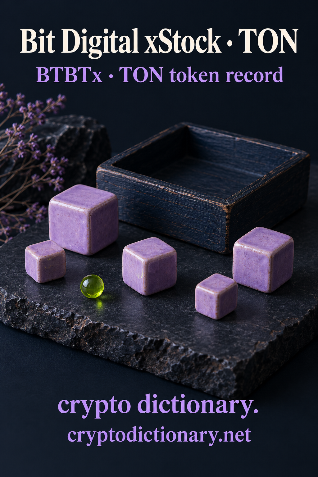 Five lilac ceramic cubes beside an empty navy wooden tray, a lime bead and dried purple buds, under Bit Digital xStock · TON.