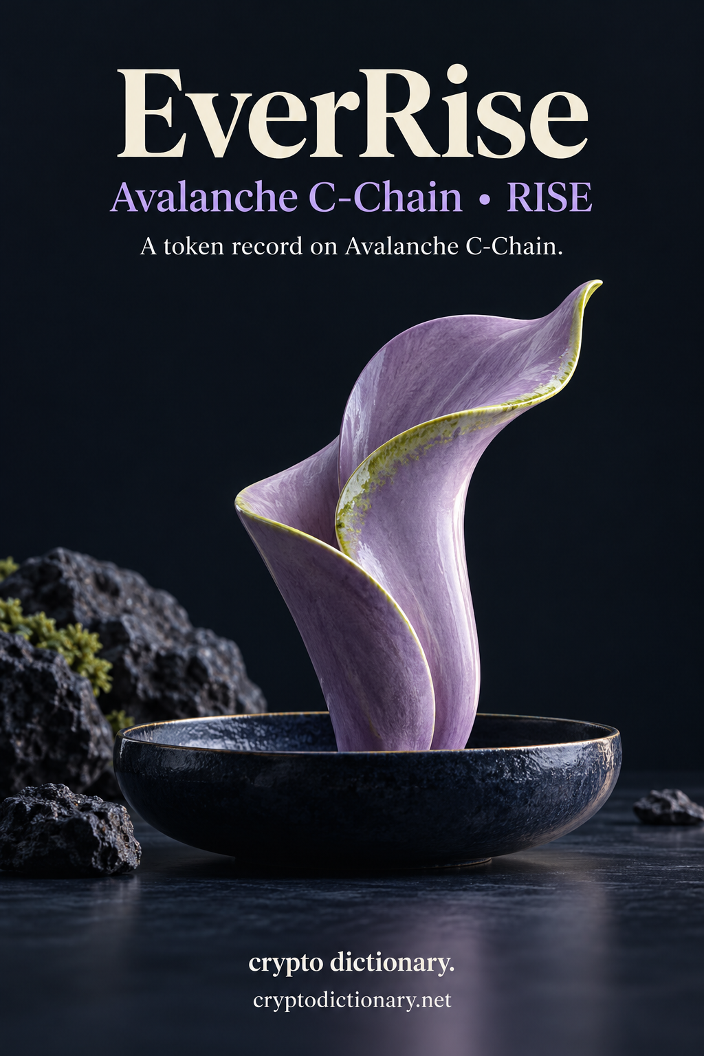 EverRise token registry illustration on Avalanche C-Chain showing an original lilac folded petal sculpture with lime edge on a navy pedestal.